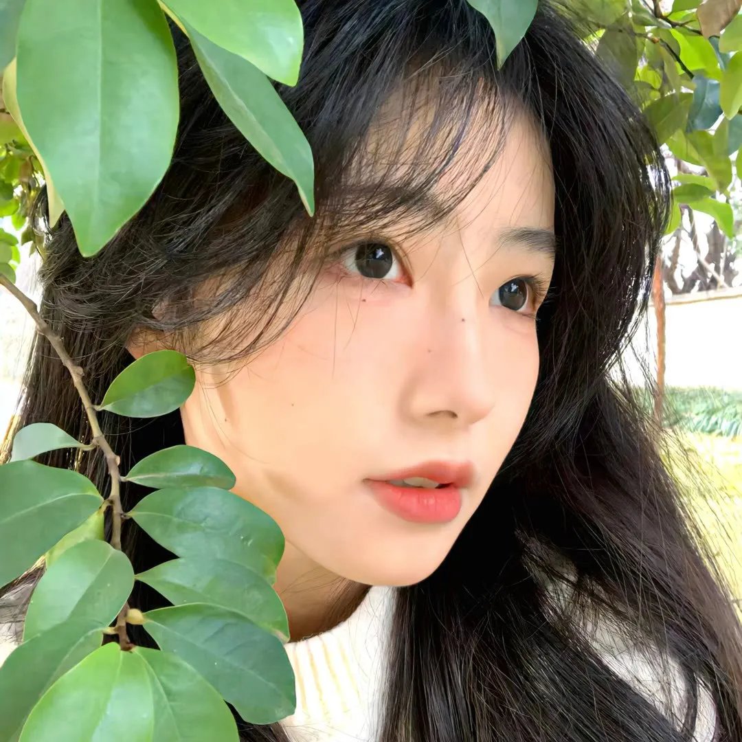 欲海女王蜂